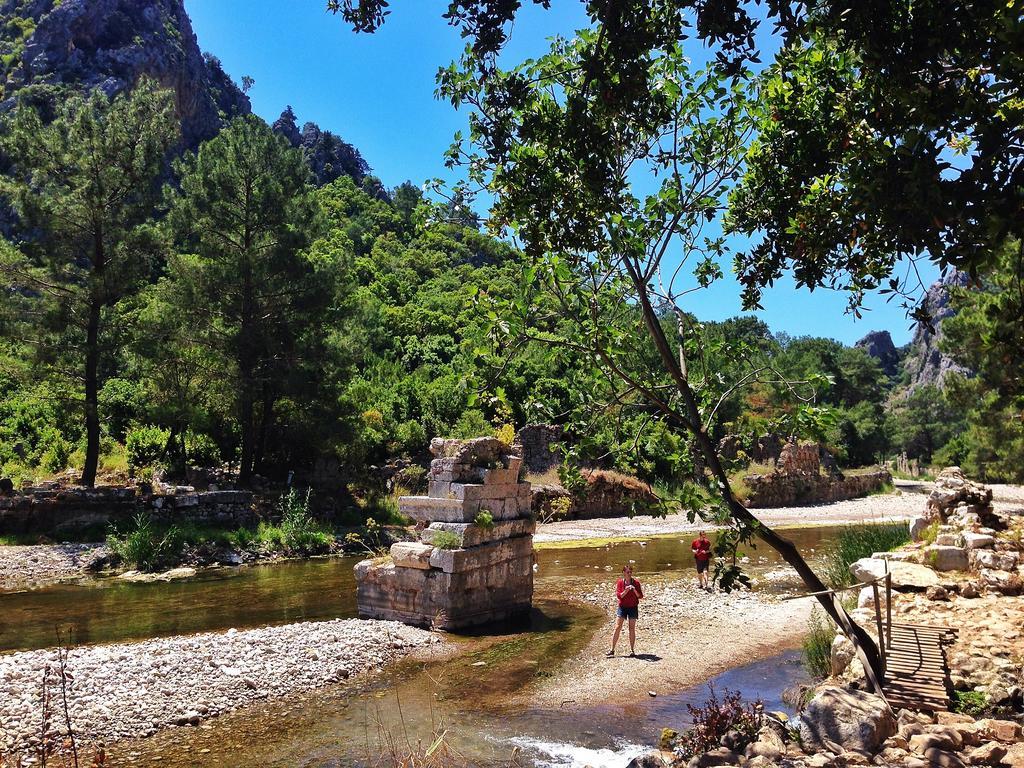 Kadir'S Top Tree Houses Olympos Exterior photo