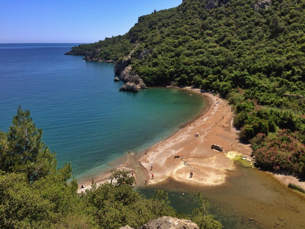 Kadir'S Top Tree Houses Olympos Exterior photo