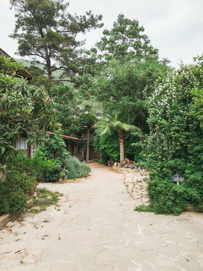 Kadir'S Top Tree Houses Olympos Exterior photo